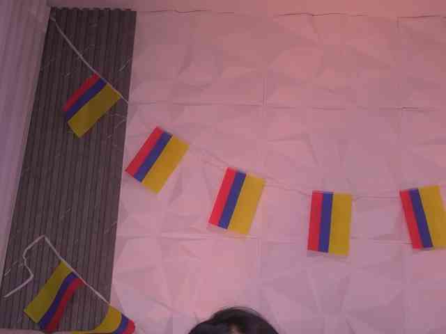 k-rioss webcam