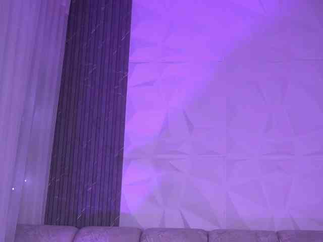 k-rioss webcam