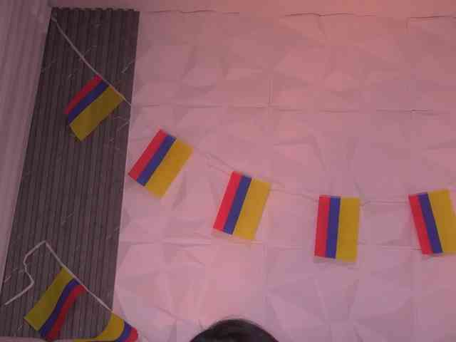 k-rioss webcam