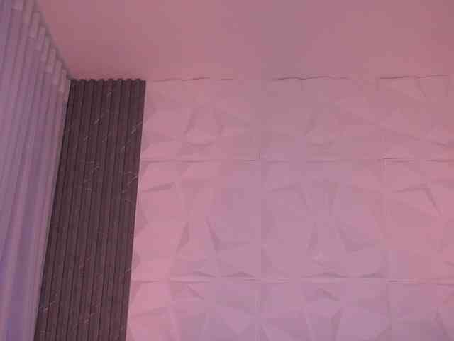k-rioss webcam