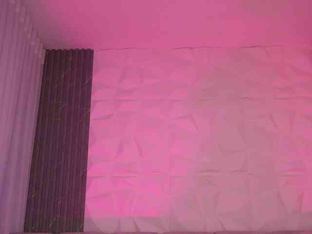 k-rioss webcam