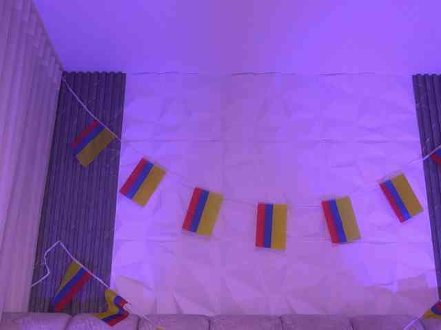 k-rioss webcam
