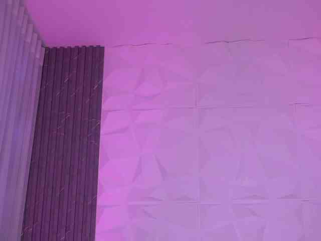 k-rioss webcam