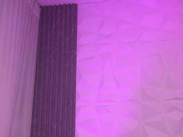 k-rioss webcam