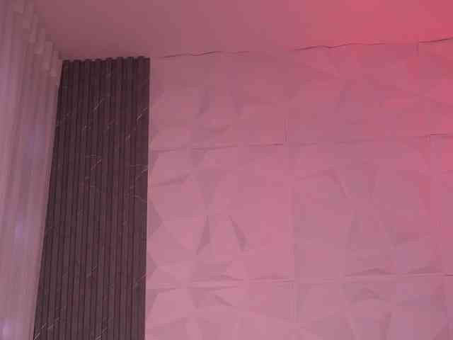 k-rioss webcam