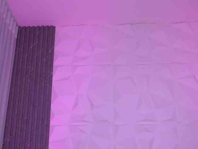 k-rioss webcam