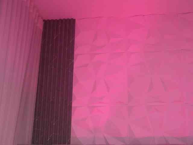 k-rioss webcam