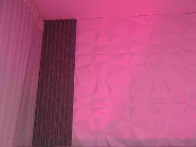 k-rioss webcam