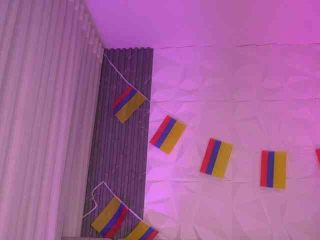 k-rioss webcam