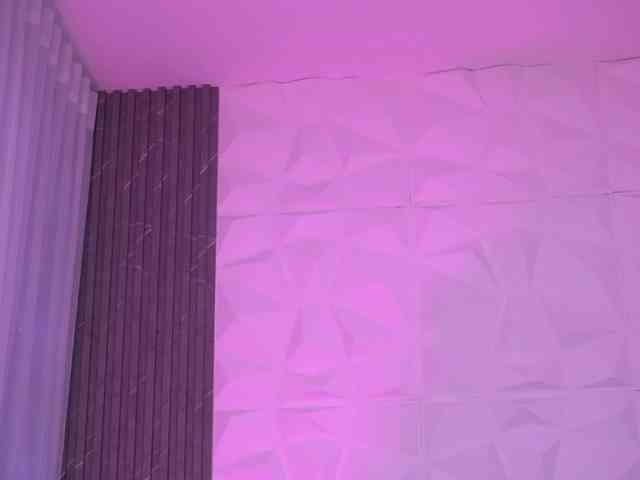 k-rioss webcam