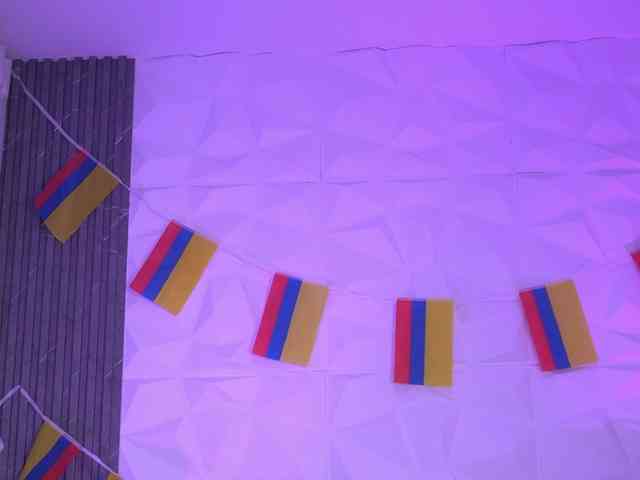 k-rioss webcam
