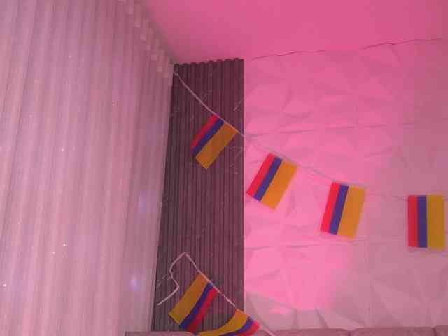k-rioss webcam