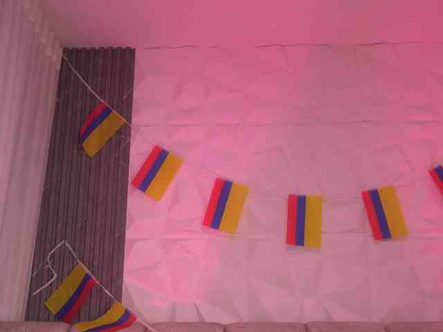 k-rioss webcam