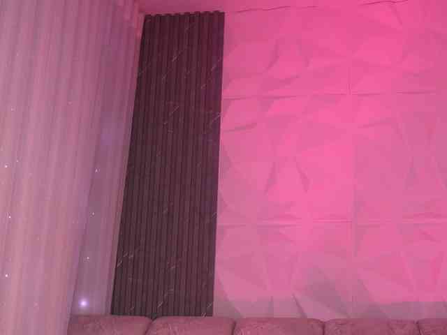 k-rioss webcam