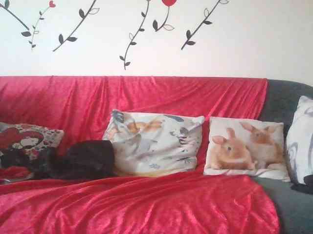 LaraXXX33 webcam