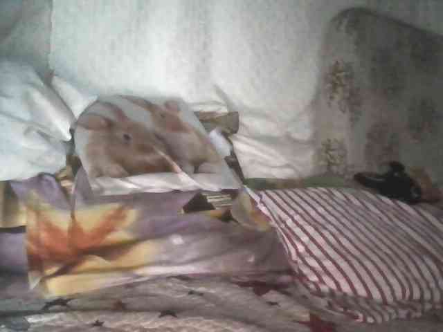 LaraXXX33 webcam