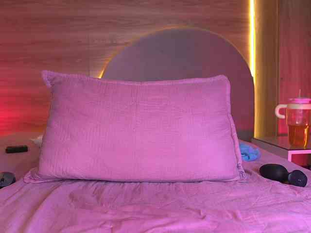 ale-evanz webcam