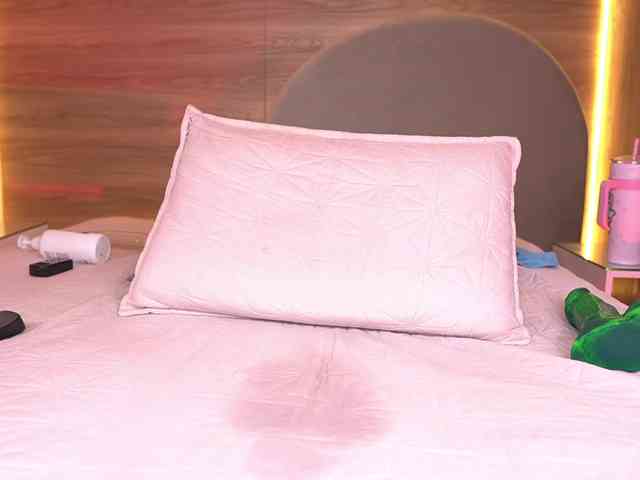 ale-evanz webcam