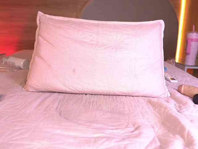 ale-evanz webcam