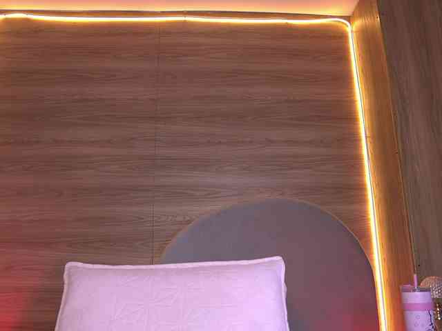 ale-evanz webcam