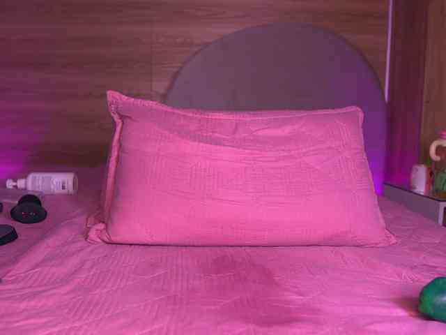ale-evanz webcam