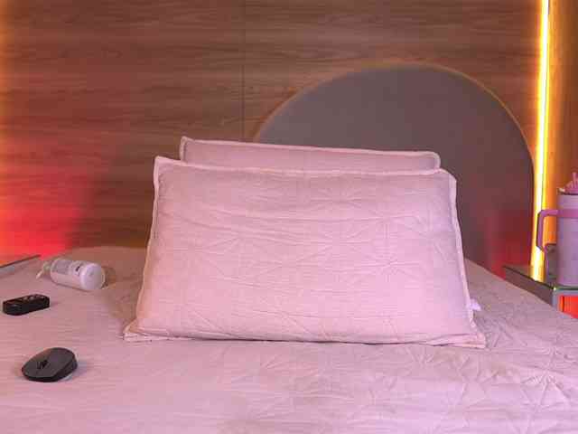 ale-evanz webcam