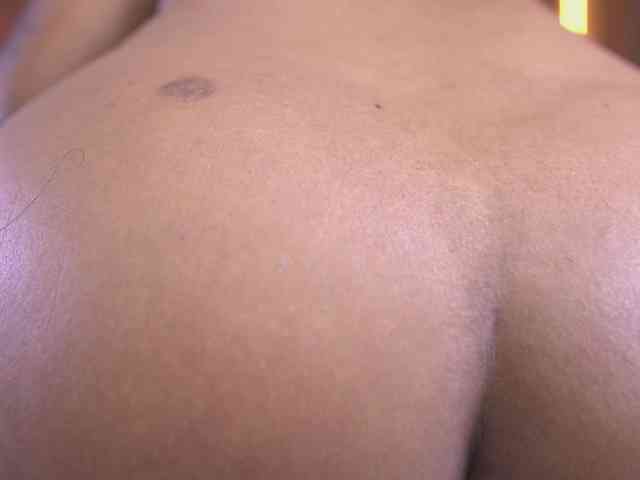 ale-evanz webcam