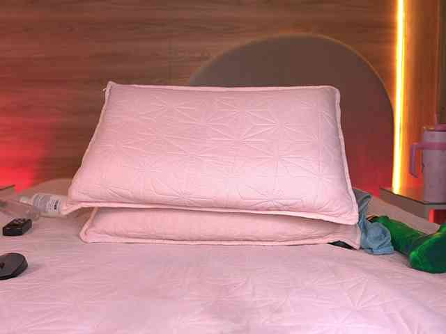 ale-evanz webcam
