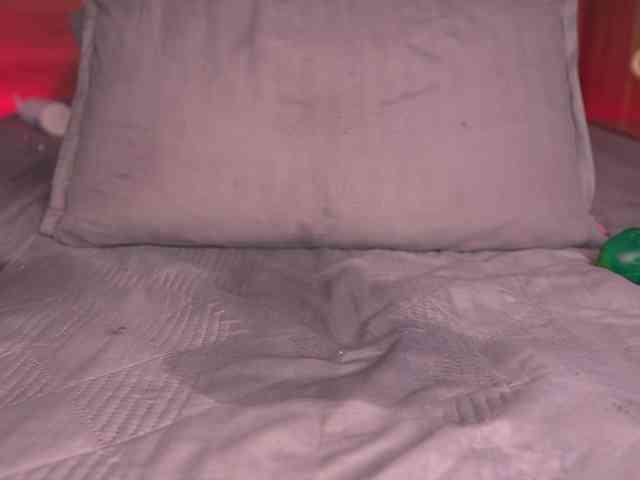 ale-evanz webcam