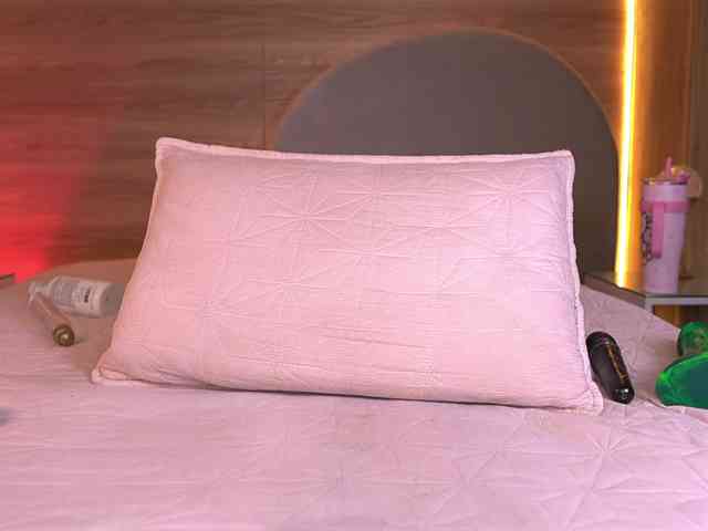 ale-evanz webcam