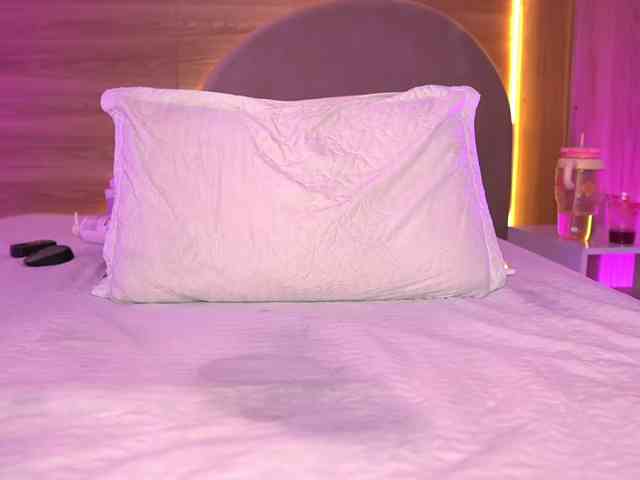 ale-evanz webcam