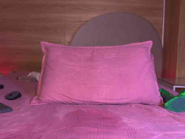ale-evanz webcam
