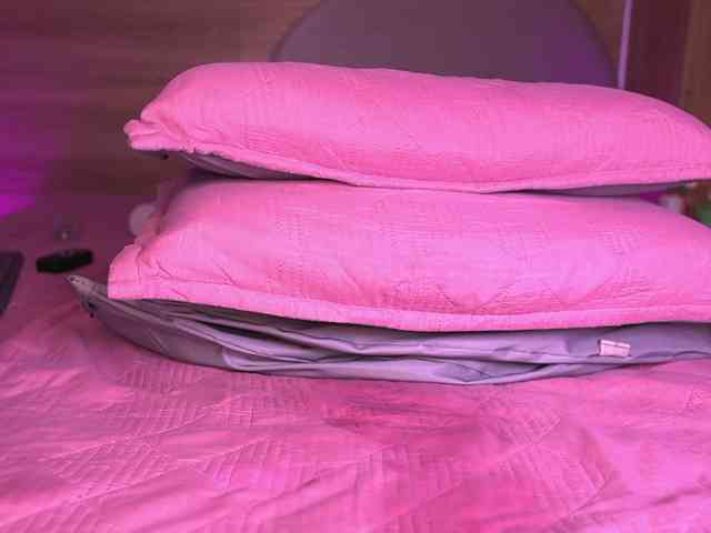 ale-evanz webcam