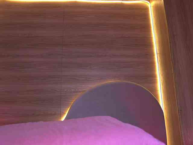 ale-evanz webcam