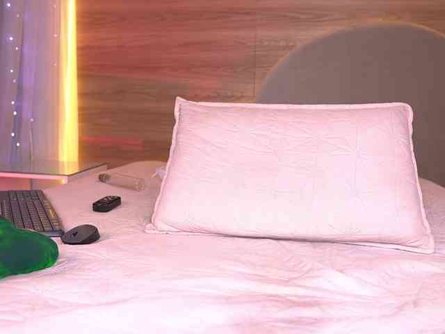ale-evanz webcam