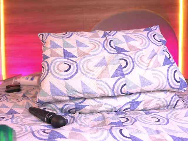 ale-evanz webcam