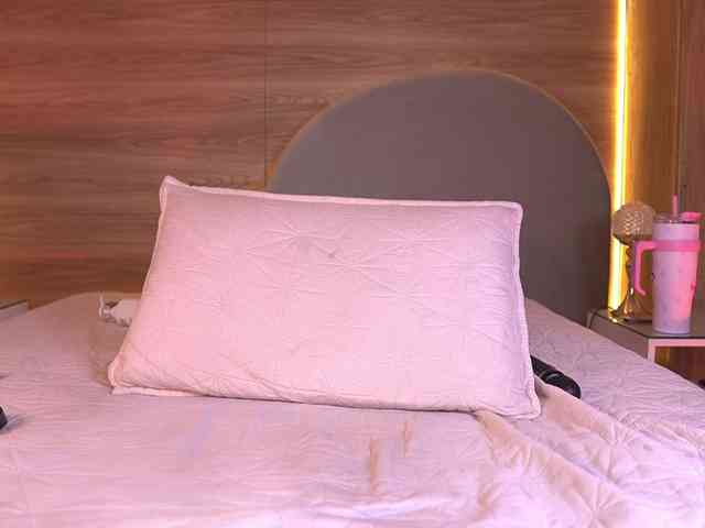 ale-evanz webcam