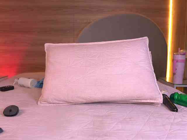 ale-evanz webcam