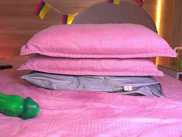 ale-evanz webcam