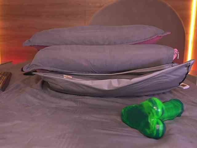 ale-evanz webcam