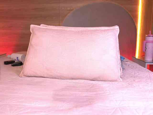 ale-evanz webcam