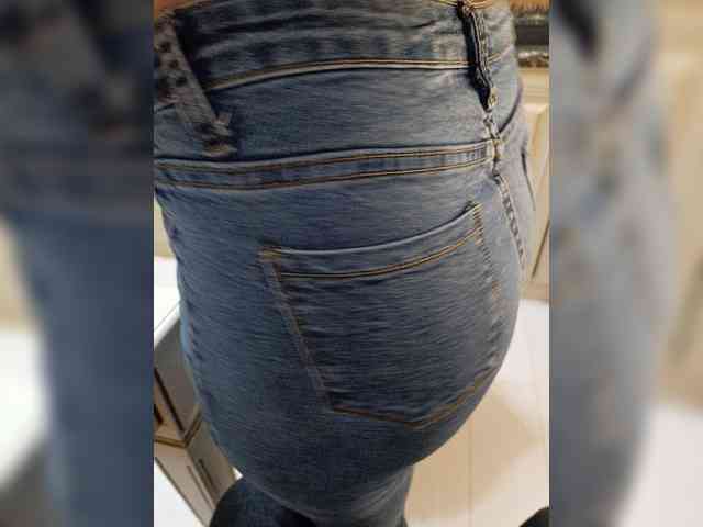 GTFert webcam