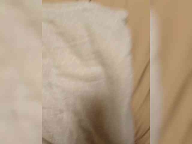 MALOSI webcam