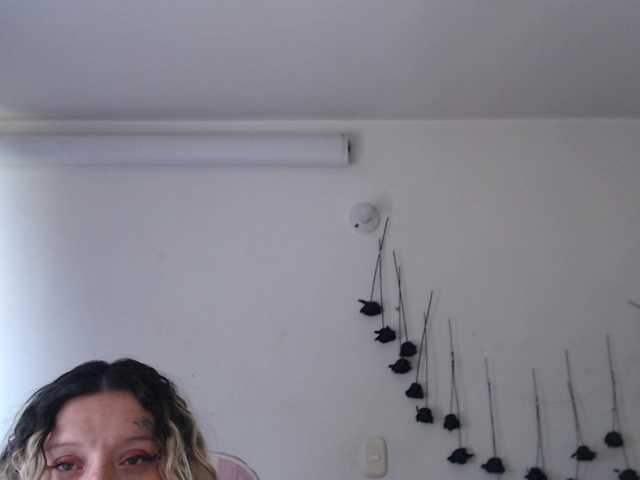 sloppytitss live cam