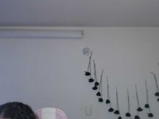 sloppytitss live cam preview