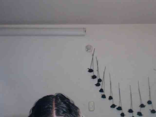 sloppytitss webcam