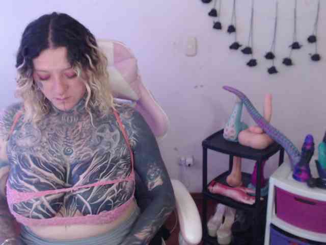 sloppytitss webcam