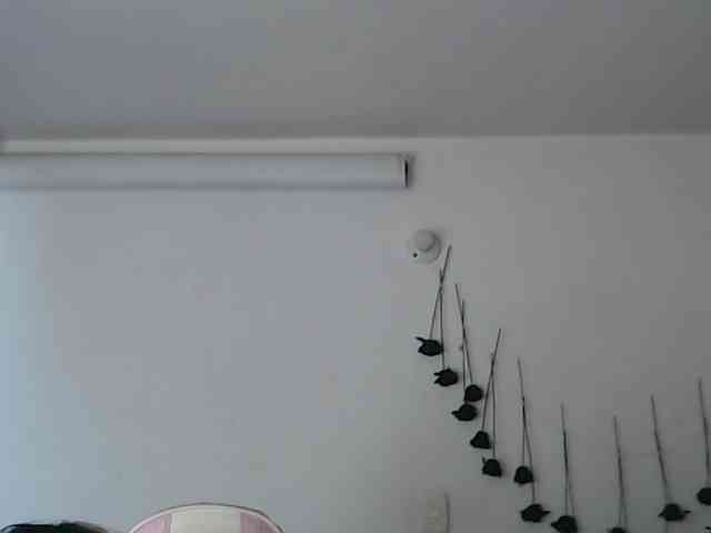 sloppytitss webcam