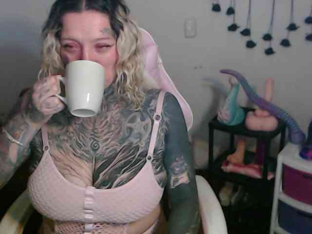sloppytitss webcam