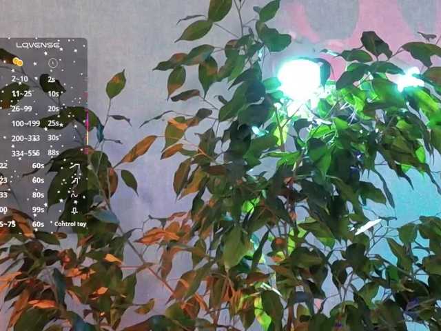 __Emmi__